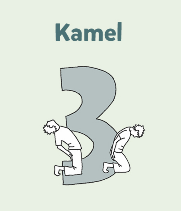 3 Kamel