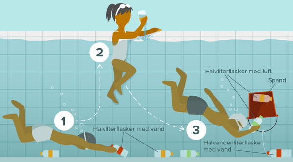 Dykning i svømning - idræt