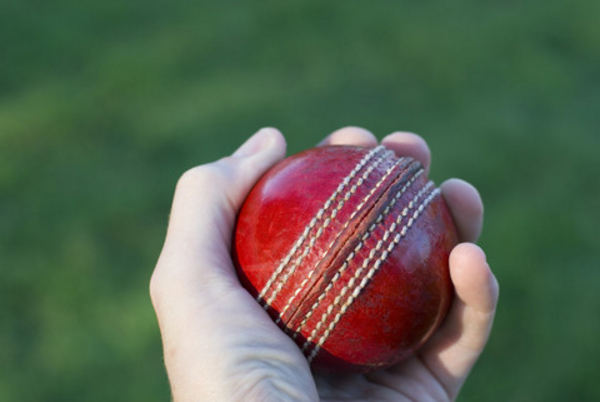 Cricket i idræt - Undervisning