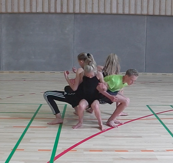 Samarbejde i gymnastik i idræt - Undervisning